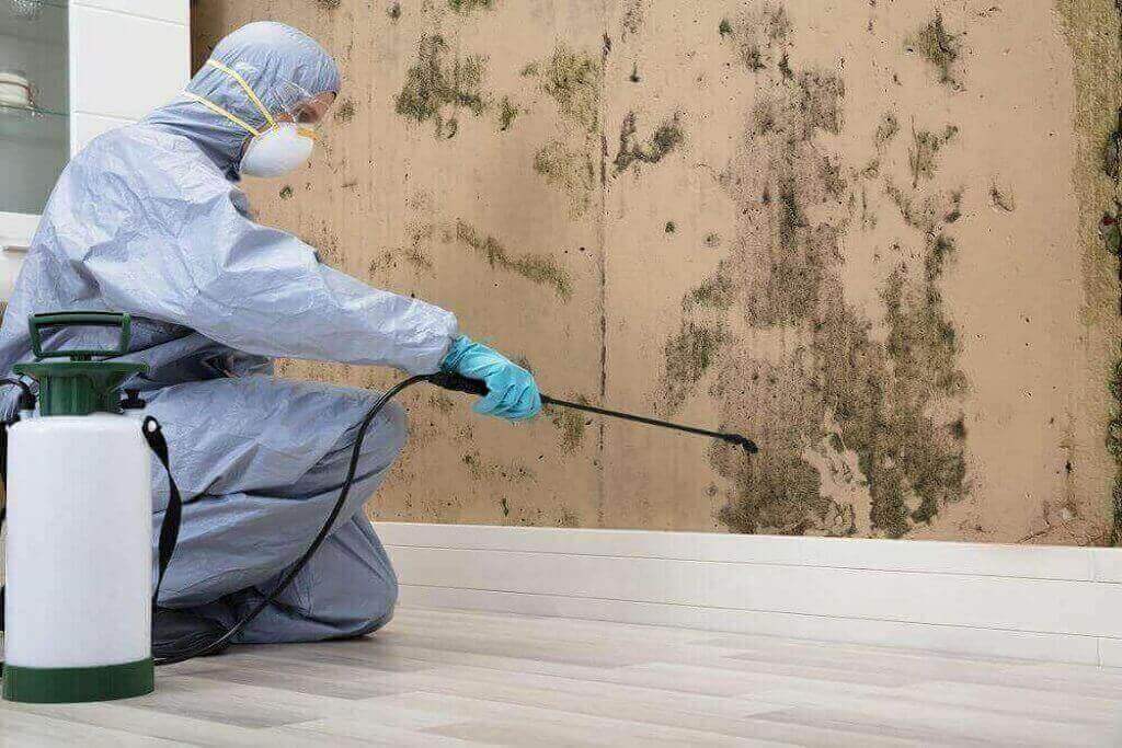MOLD REMEDIATION OLD