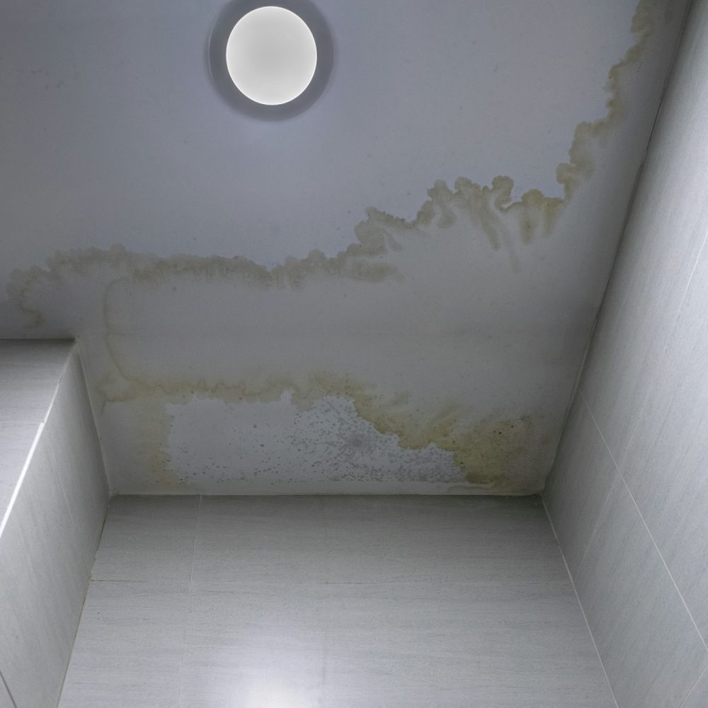 Mildew stains at ceiling